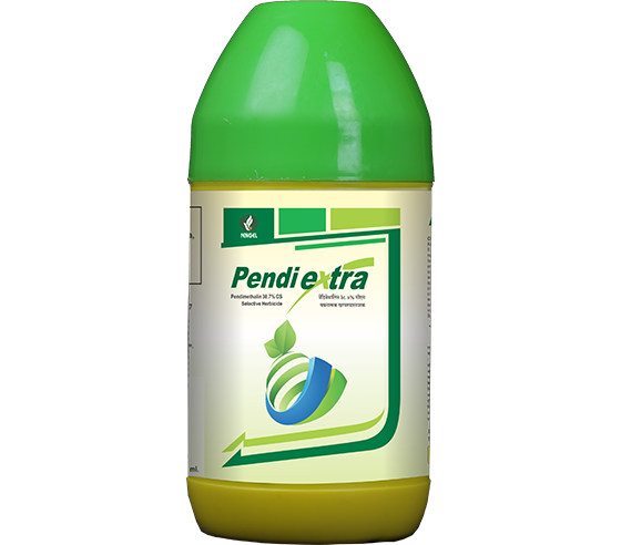 PENDI EXTRA